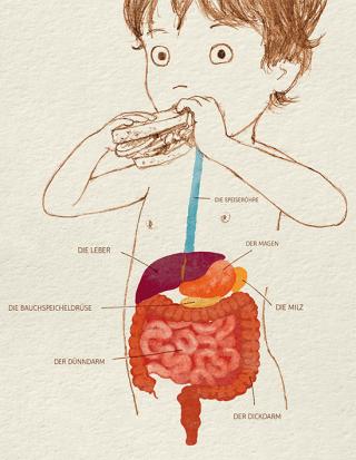 Was mir mein Bauch erzählt - Illustration