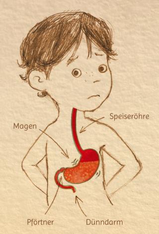 Was mir mein Bauch erzählt - Illustration