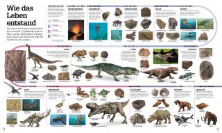 2021 Bilderpedia 1