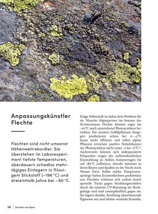 Natur der Alpen 3