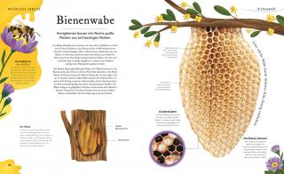 Dorling Kindersley Naturschätze 1
