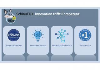 Schlaufux1