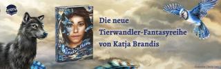 Banner Windwalkers
