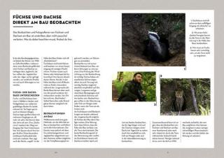Tiere beobachten 1